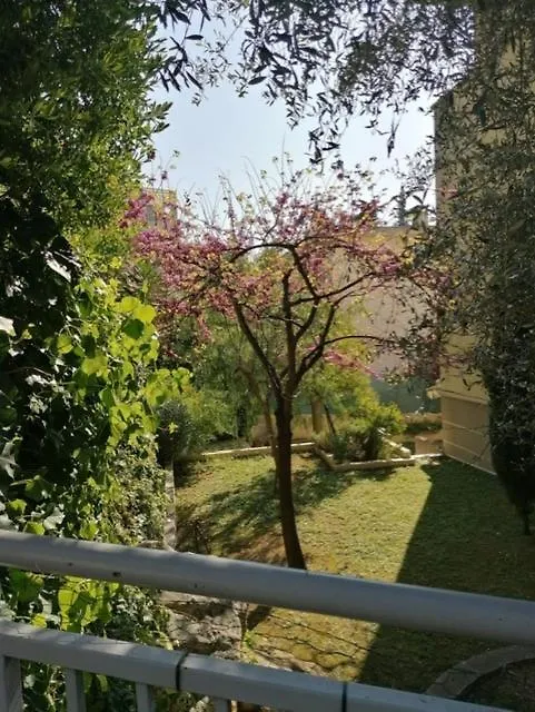 Villa Soraya , Quiet Location With Big Garden Near Beach And Old Town Of Nice