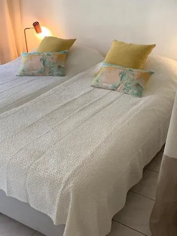 Appartement Villa Soraya , Quiet Location With Big Garden Near Beach And Old Town Of Nice